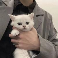 伤悲混凝土头像