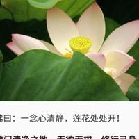 风雨同行刘富贵头像