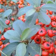 彭OO的个人资料头像