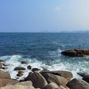 阿九942的个人资料头像