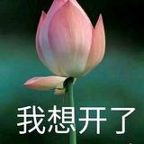 顺其自然头像