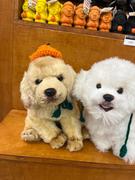 用户6221832718710的个人资料头像