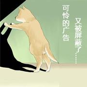 桐溪漂流的个人资料头像