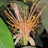 用户1496845000399头像