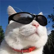 多多_的个人资料头像