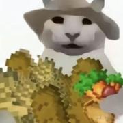 咪饭只吃一小碗的个人资料头像