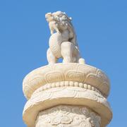 龙悦骑士的个人资料头像