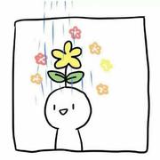 孙雪的个人资料头像