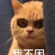 万事屋在掘金56528的个人资料头像