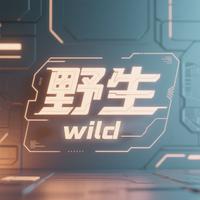 新能源野生技术控头像