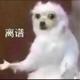 凌凌漆156678243头像