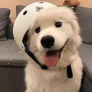 白板产品的个人资料头像