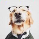 在云端同学的个人资料头像