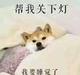 整个名字太尼玛费劲头像