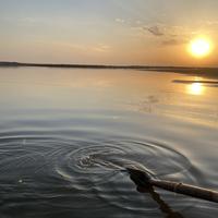 清闲的花猫一6头像