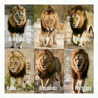 马波侯六兄弟头像