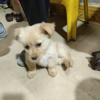 月亮我扳弯滴头像