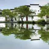 大爱有为头像