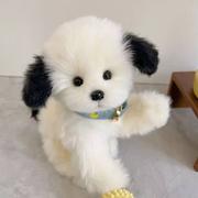 用户2128811515305的个人资料头像