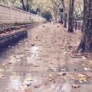 小C不想说话63846的个人资料头像