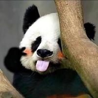 西蓝花战士979头像