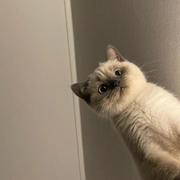 沐子霖的个人资料头像