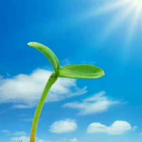 伏特加★´∀｀★喜欢冬天头像