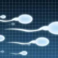 乖巧水滴H6头像