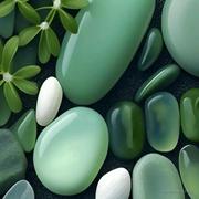 阿白_的个人资料头像