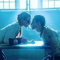 峰子慢点骑头像