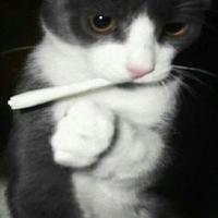 用户6286569730859头像