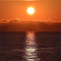 小鹿爱大理头像