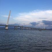 Henry橙的个人资料头像