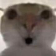 Caesar点append括号w的个人资料头像