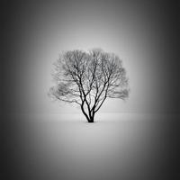 想到的名都被占用了头像