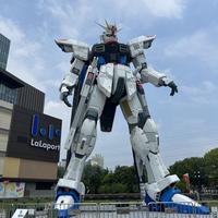 江南决绝子头像