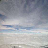 鎽雲彼岸花头像