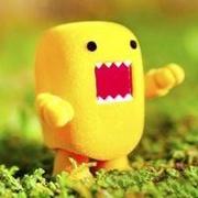 吴坚不摧的个人资料头像