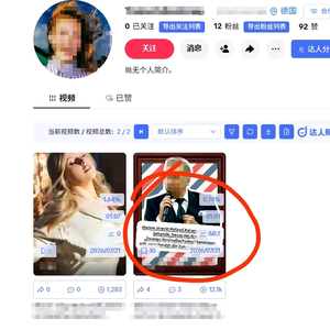tk中视频计划