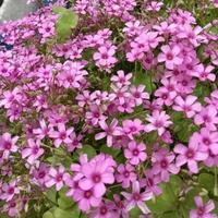 用户4825912291228头像