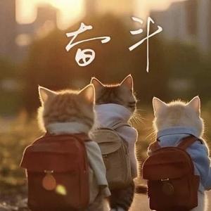 大气暖阳Q头像
