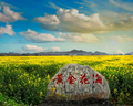 用户7833752925314头像