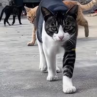 十点给起扑街头像