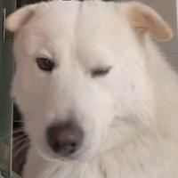 奋发有为给你一坨子头像
