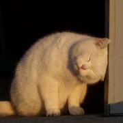 BiuBiu的个人资料头像