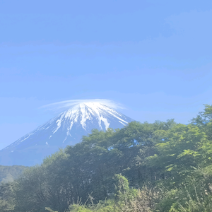SU7头像