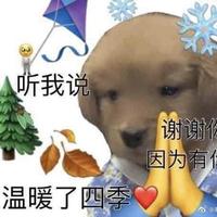 也不知道到底买啥车头像