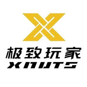 极致玩家头像
