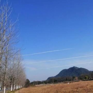 路过飞之兔头像