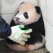 晨火的个人资料头像